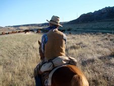 USA-Wyoming-Two Creek Ranch Round Up